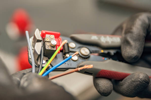 Best Electric Panel Repair  in Surgoinsville, TN